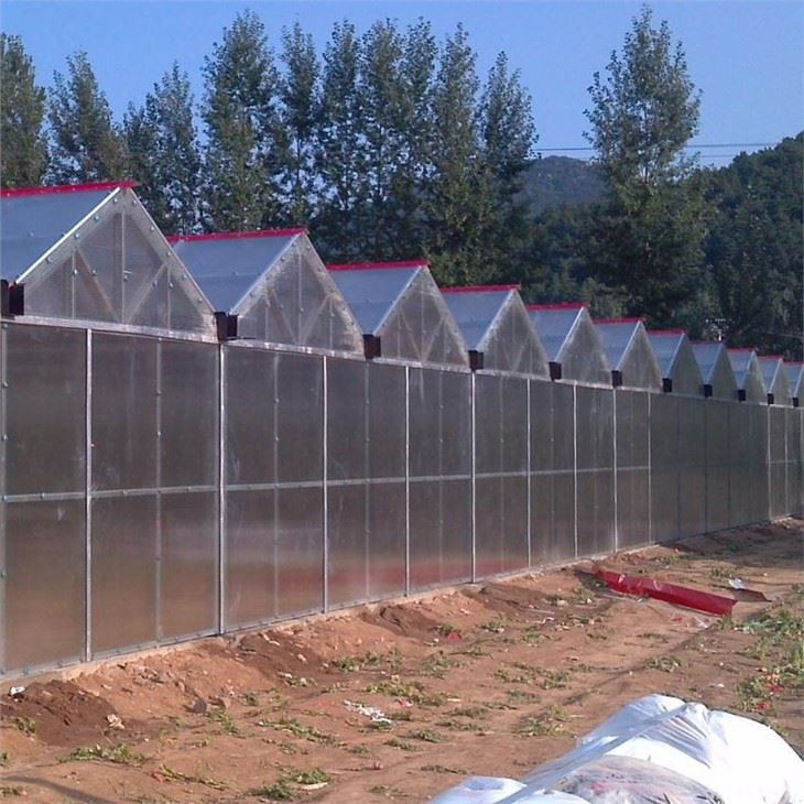 Agriculture Greenhouse PC Greenhouse