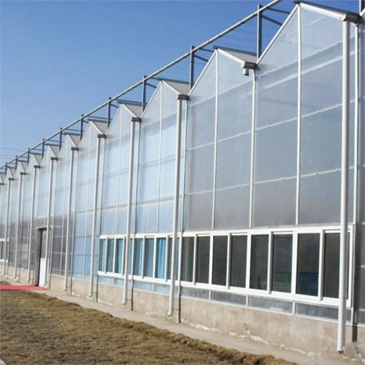 Agriculture Greenhouse PC Greenhouse