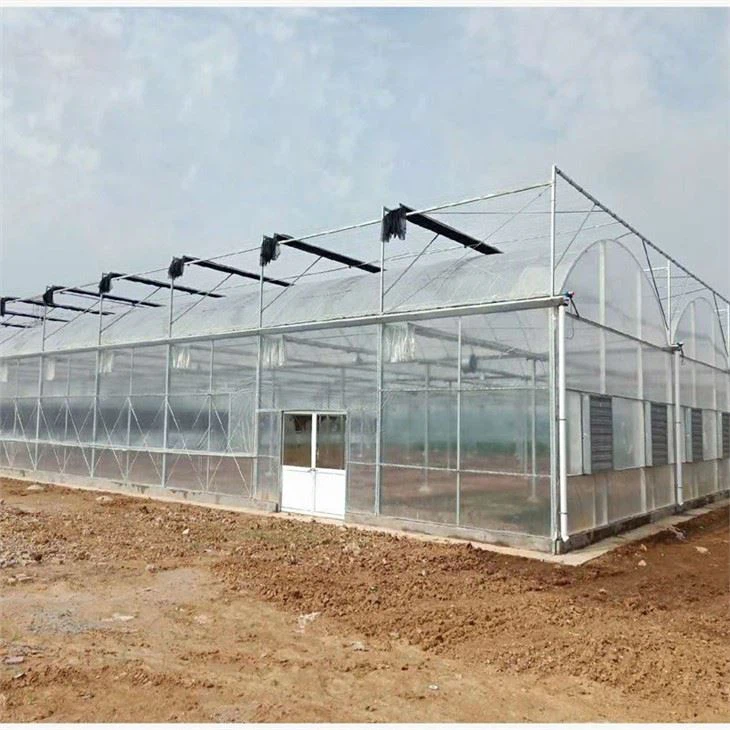 Double Layer Film Greenhouse