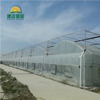 Köögiviljasalati kasvuhoone hüdropooniga