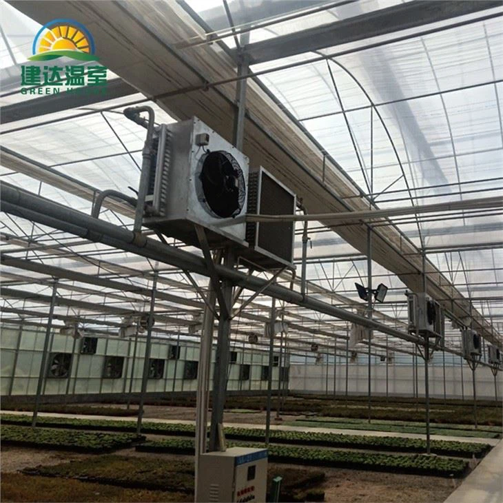 Vegetable Lettuce Greenhouse With Hydroponic