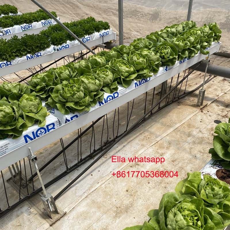 Hydroponic Planting Gutter For Tomato Greens