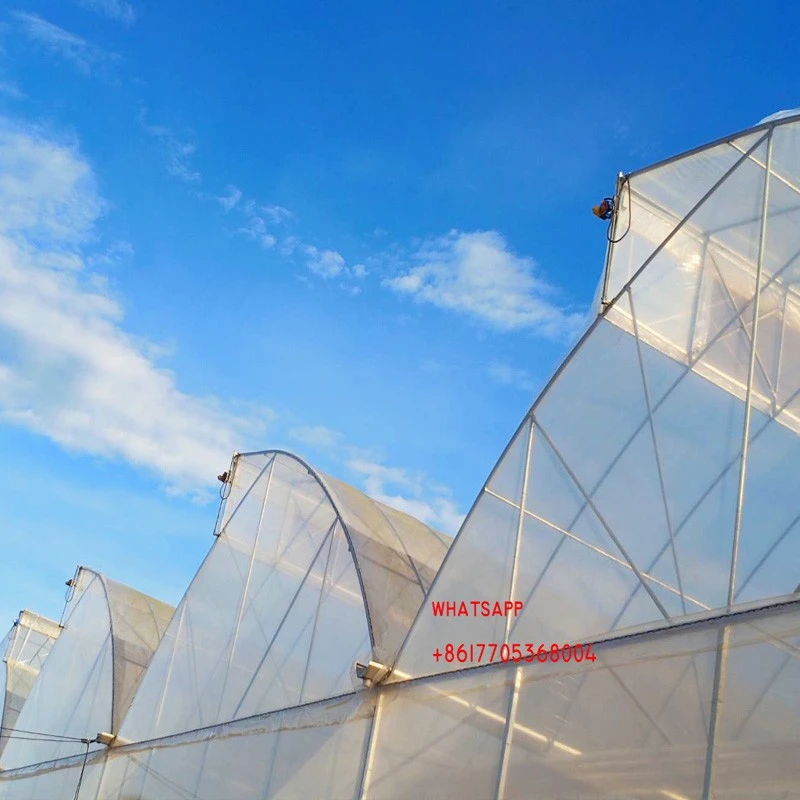 Multi Span Roof Window Gothic Film Greenhouse best