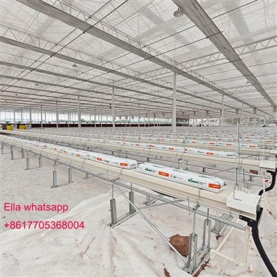 COCO PEAT HÜDROPOONILINE SÜSTEEM