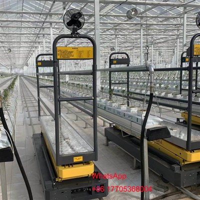 Tavalised kasvuhoonemudelid