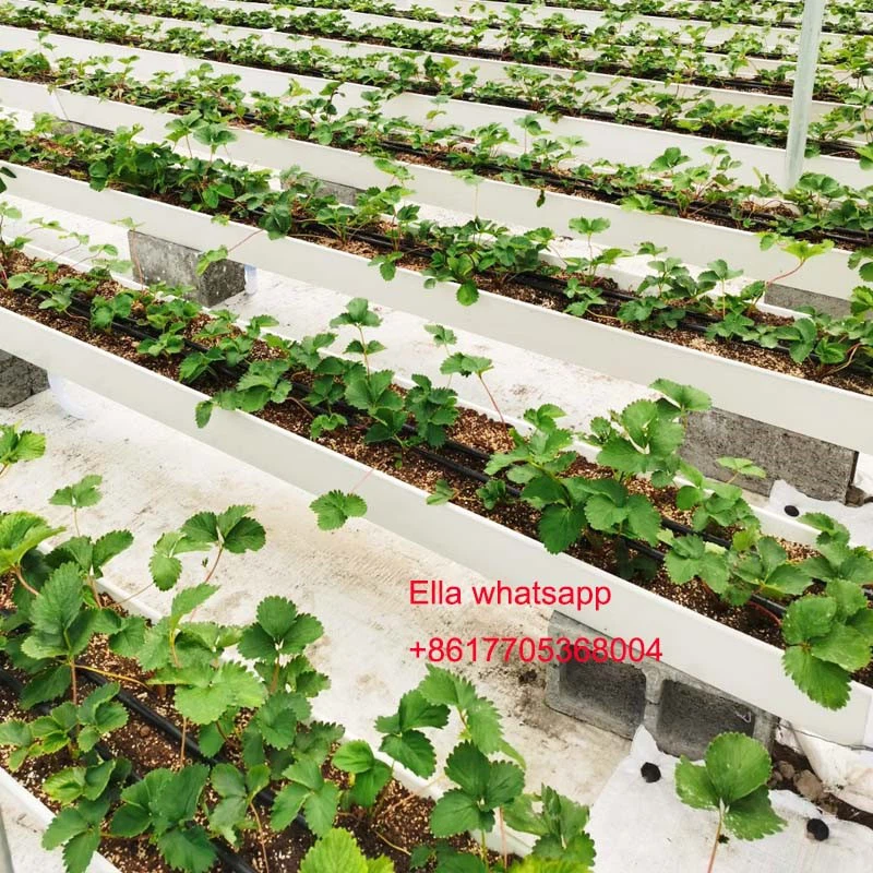 pvc grow gutter pvc grow gutter
