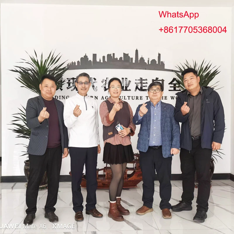 greenhouse supplier greenhouse supplier