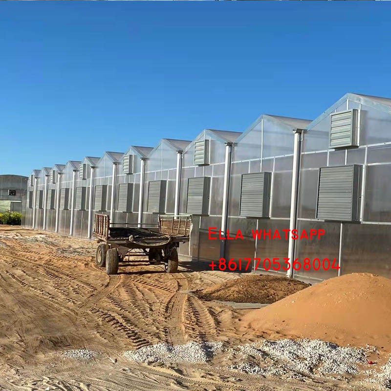 greenhouse price greenhouse price